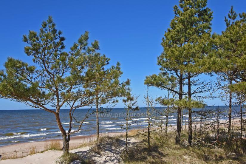 Appartamento Optimistas Palanga Esterno foto